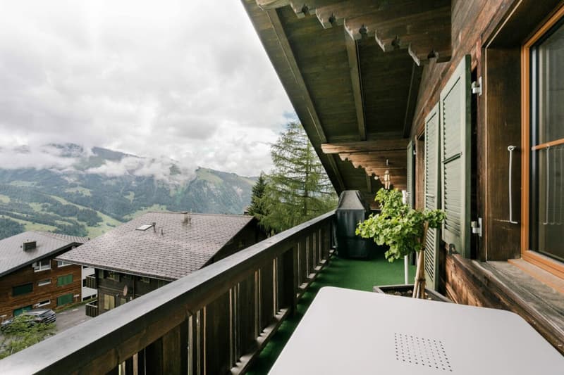Appartement charmant de 3,5 pièces à Lenk (20)