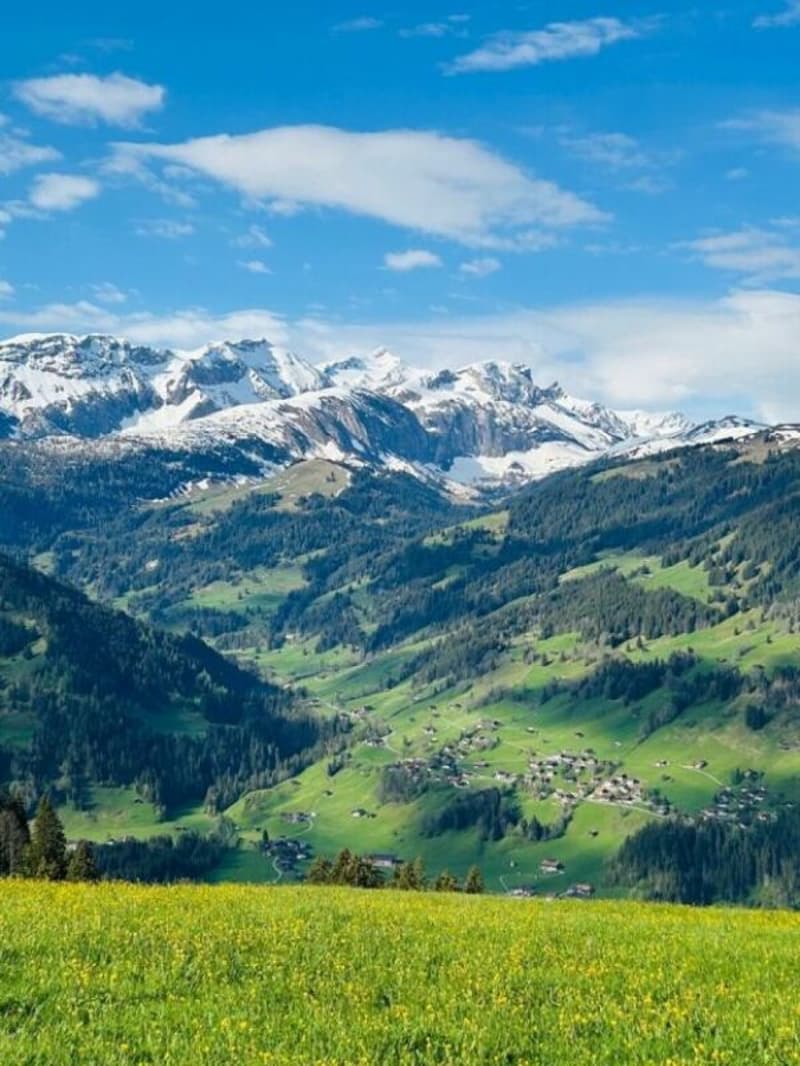 Cozy 2 Bedroom Apartment In Lenk (3)