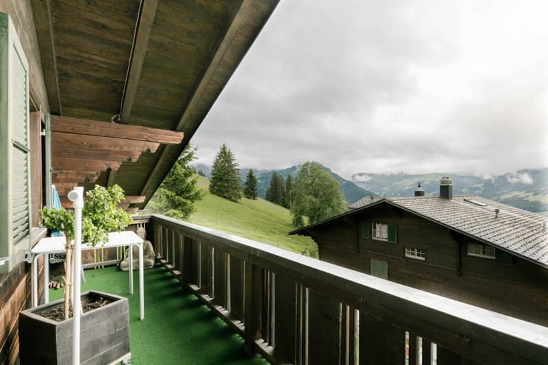Appartement charmant de 3,5 pièces à Lenk (19)