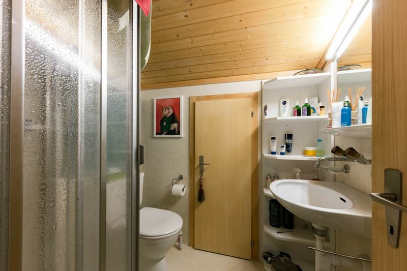 Appartement charmant de 3,5 pièces à Lenk (17)