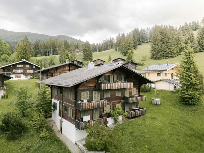 Appartement charmant de 3,5 pièces à Lenk (21)