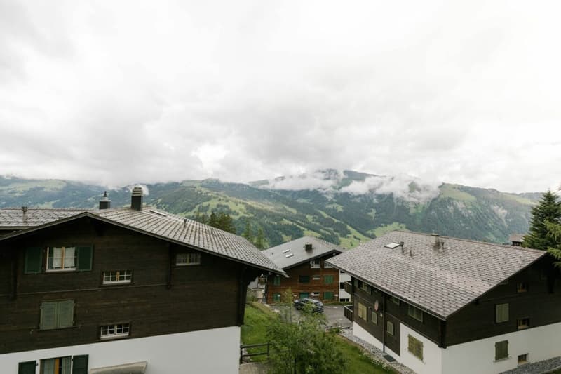 Appartement charmant de 3,5 pièces à Lenk (3)