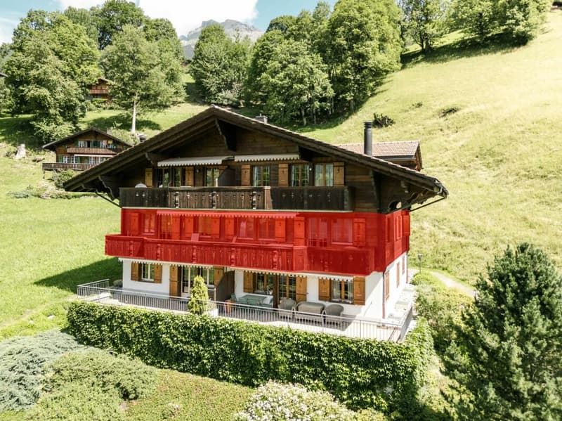 Ampio appartamento di 4,5 locali nel chalet Gemel con vista sulla montagna (2)