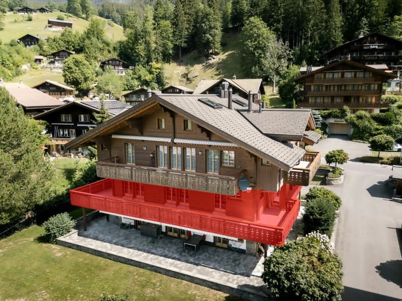 Appartamento soleggiato di 4,5 locali, Chalet Silberblume (2)