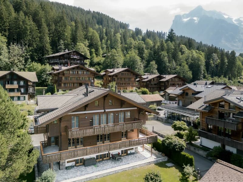 Appartamento soleggiato di 4,5 locali, Chalet Silberblume (1)