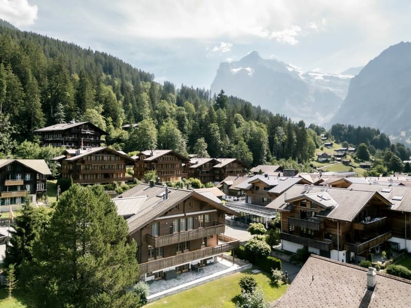 L'appartamento esclusivo 5.5 locali con galleria, Chalet Silberblume (33)