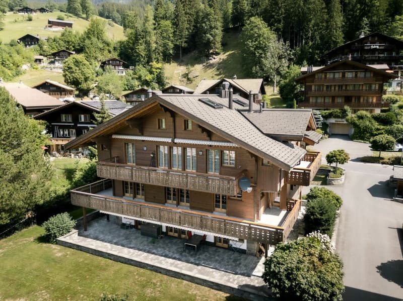 L'appartamento esclusivo 5.5 locali con galleria, Chalet Silberblume (1)