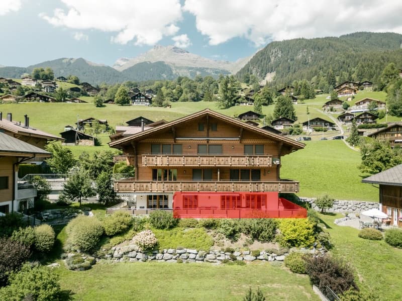Terrassenwohnung mit Bergblick - 4.5-Zimmer-Erstwohnung im Chalet Aquila (2)
