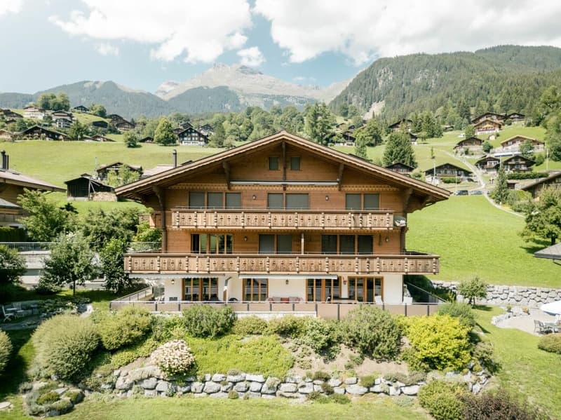 Terrassenwohnung mit Bergblick - 4.5-Zimmer-Erstwohnung im Chalet Aquila (1)