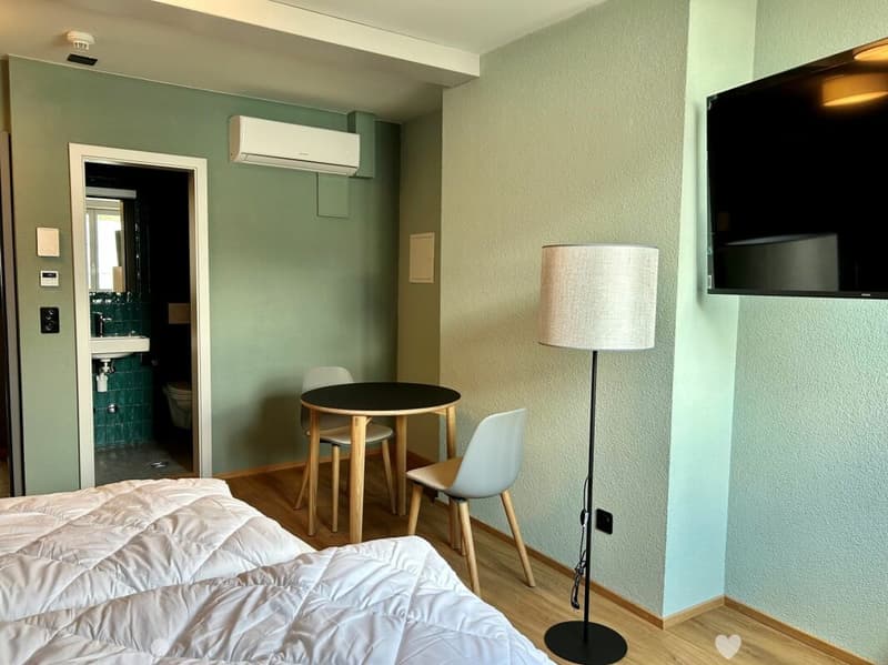 1.5-Zimmerwohnung im Zentrum von Interlaken (3)