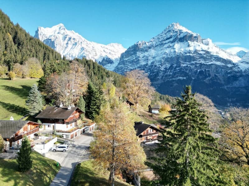 3.5-Zimmerwohnung im Dachgeschoss, Chalet Tambour (10)