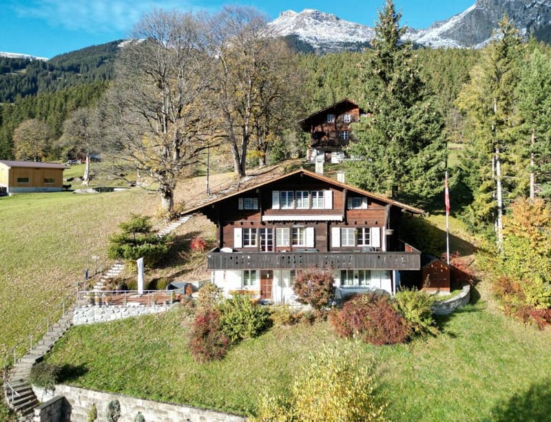 3.5-Zimmerwohnung im Dachgeschoss, Chalet Tambour (7)