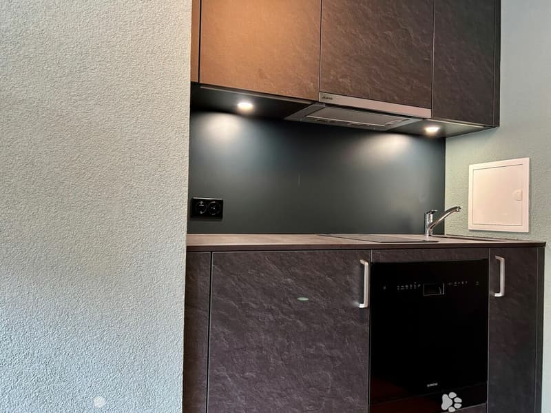 1.5-Zimmerwohnung im Zentrum von Interlaken (3)
