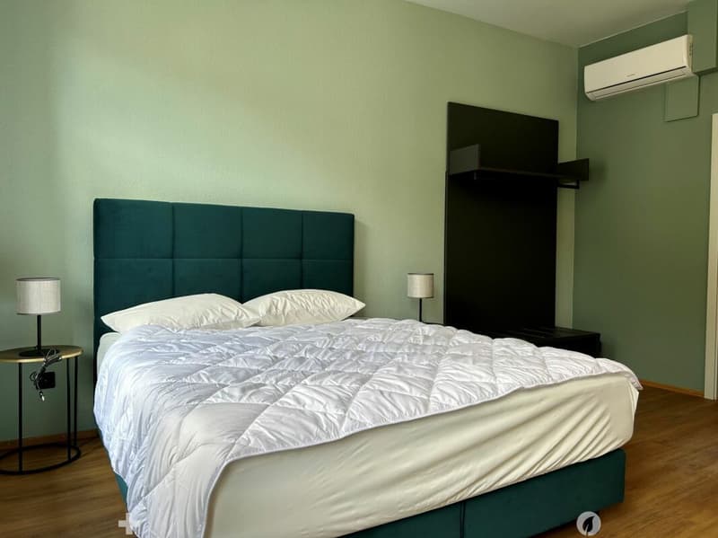 1.5-Zimmerwohnung im Zentrum von Interlaken (5)