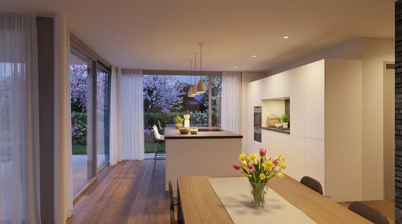 Design rencontre la Nature - Maison unifamiliale top-moderne à Rüttenen (4)