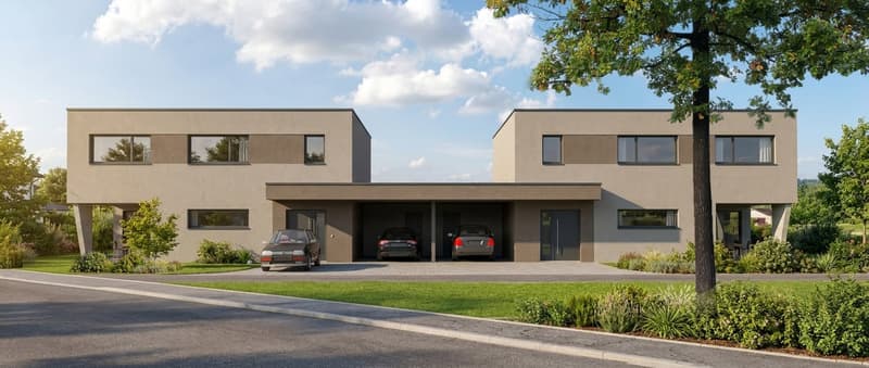 ARCHITETTURA SENZA TEMPO DUE CASE UNIFAMILIARI A WIEDLISBACH - Casa A (2)