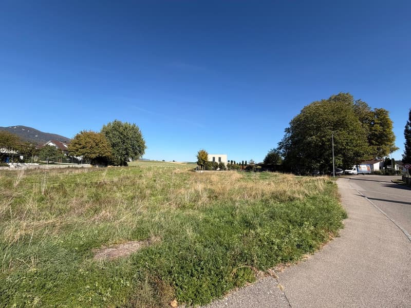Attraktive Baulandparzelle in Wiedlisbach (2)