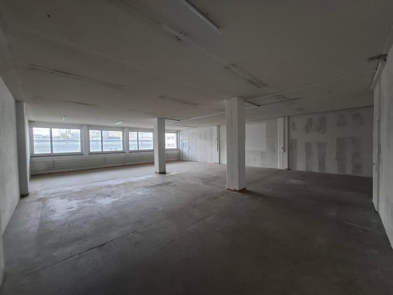 Empty room with white walls, concrete floor, glass windows, ceiling lights, no furniture, columns