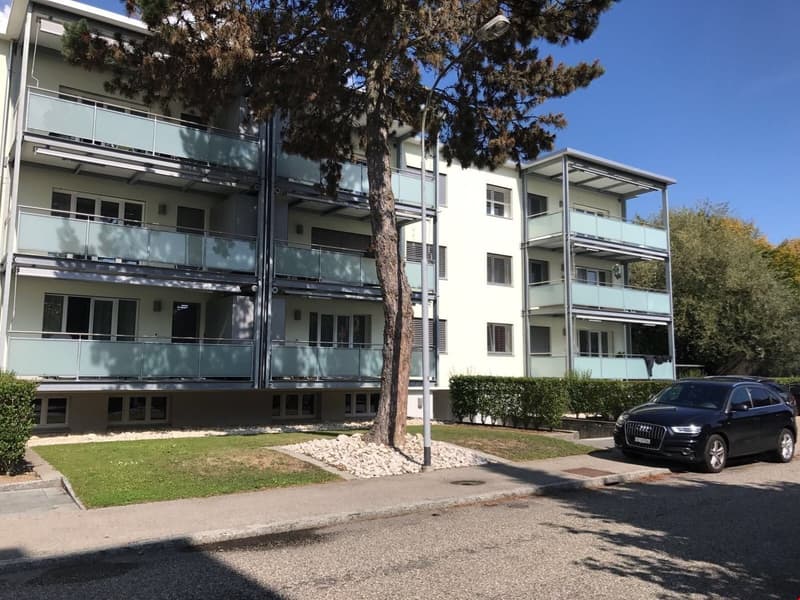Helle 4.5-Zimmer-Wohnung mit Balkon und Aussicht in Zuchwil (1)