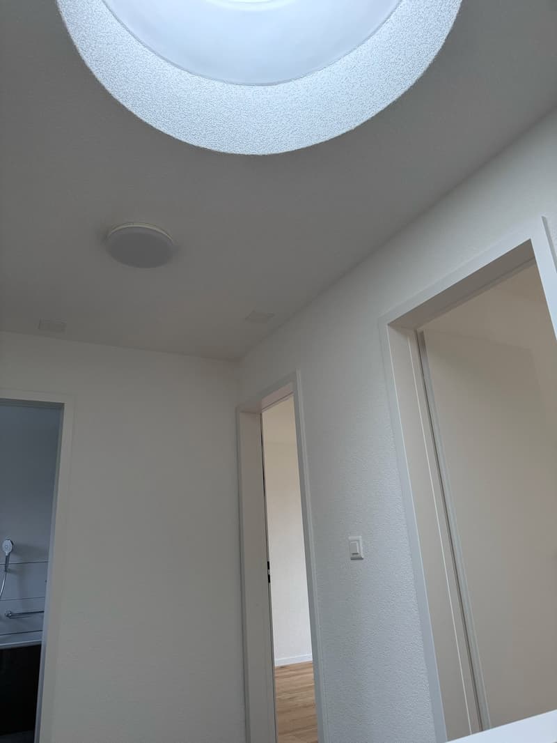 Gepflegtes 5.5-Zimmer-Reihenhaus (10)