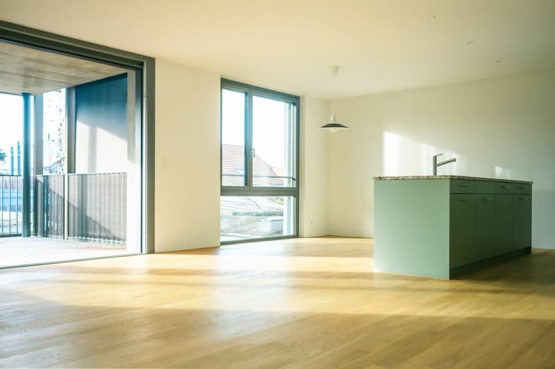 Appartement neuf avec grande terrasse couverte au cœur de Seedorf (3)