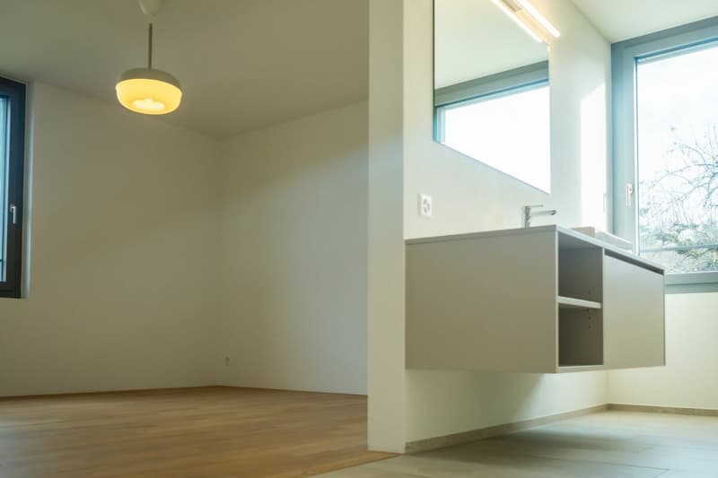 Appartement neuf avec grande terrasse couverte au cœur de Seedorf (9)
