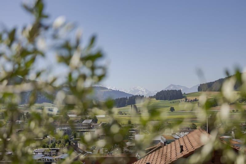 Appartamento in attico moderno con vista panoramica (12)
