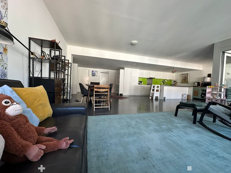 APPARTEMENT 4 PIÈCES À BIEL/BIENNE (BE), MEUBLÉ (4)