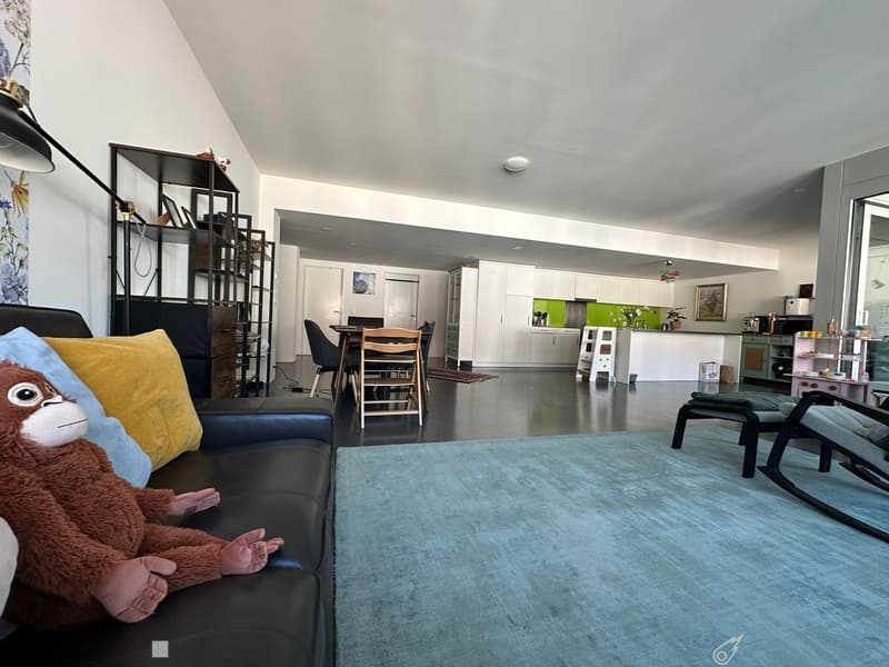 APPARTEMENT 4 PIÈCES À BIEL/BIENNE (BE), MEUBLÉ (4)