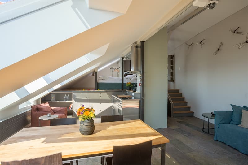 LOFT À BELLERIVE (VD), MEUBLÉ, DURÉE DÉTERMINÉE (3)
