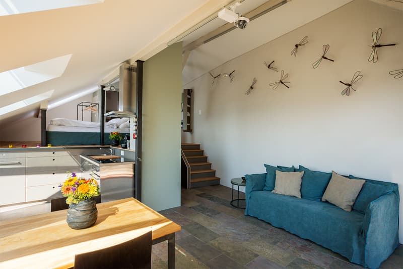 LOFT À BELLERIVE (VD), MEUBLÉ, DURÉE DÉTERMINÉE (2)