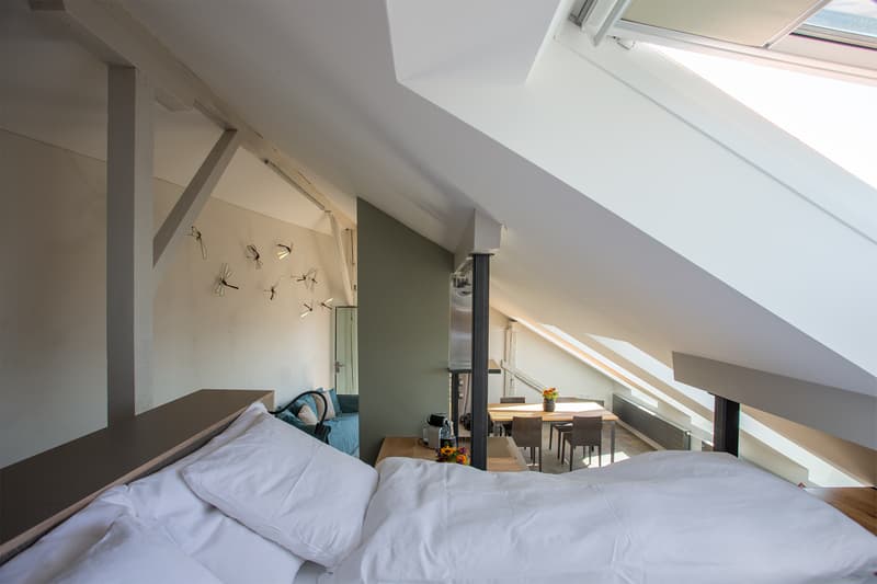 LOFT À BELLERIVE (VD), MEUBLÉ, DURÉE DÉTERMINÉE (5)