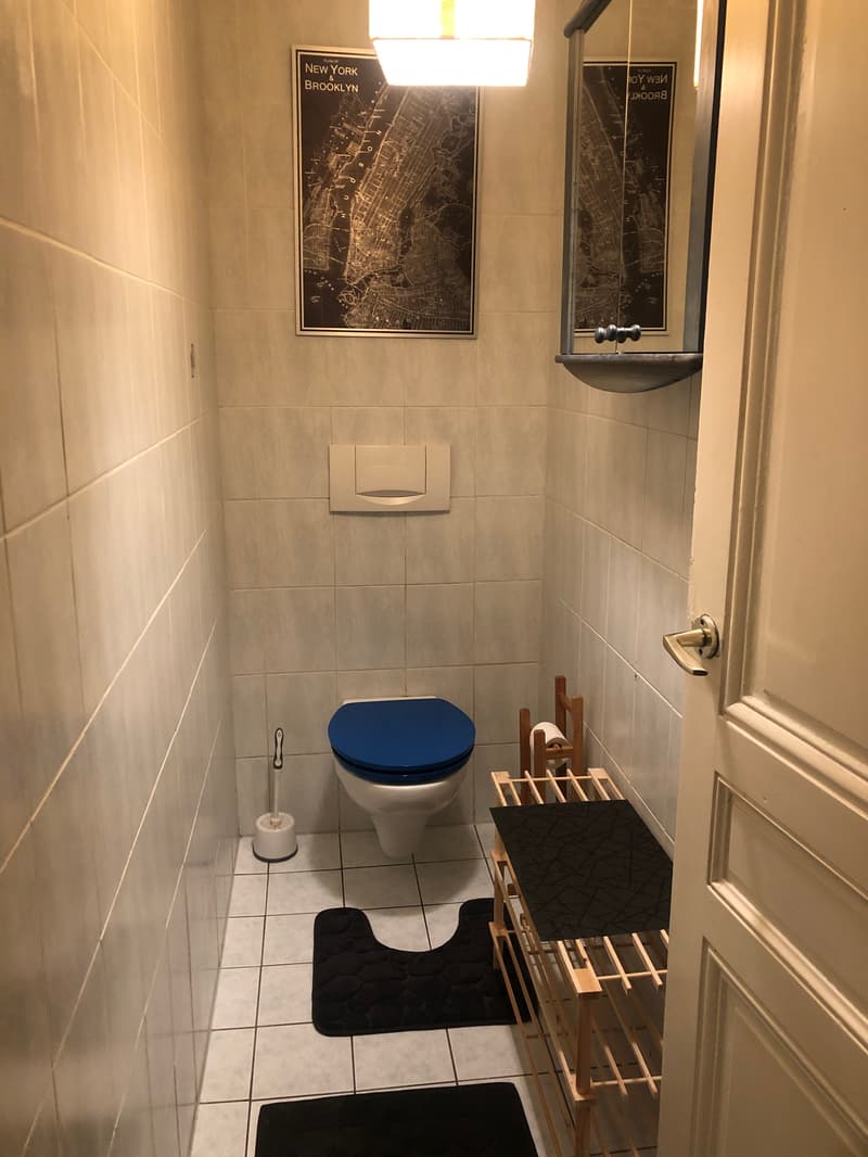 APPARTEMENT 3½ PIÈCES À GENÈVE - CENTRE, MEUBLÉ, DURÉE DÉTERMINÉE (10)