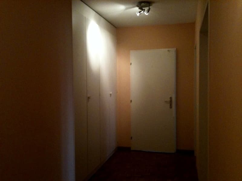 APPARTEMENT 3 PIÈCES À GENÈVE - CHÂTELAINE, MEUBLÉ (10)