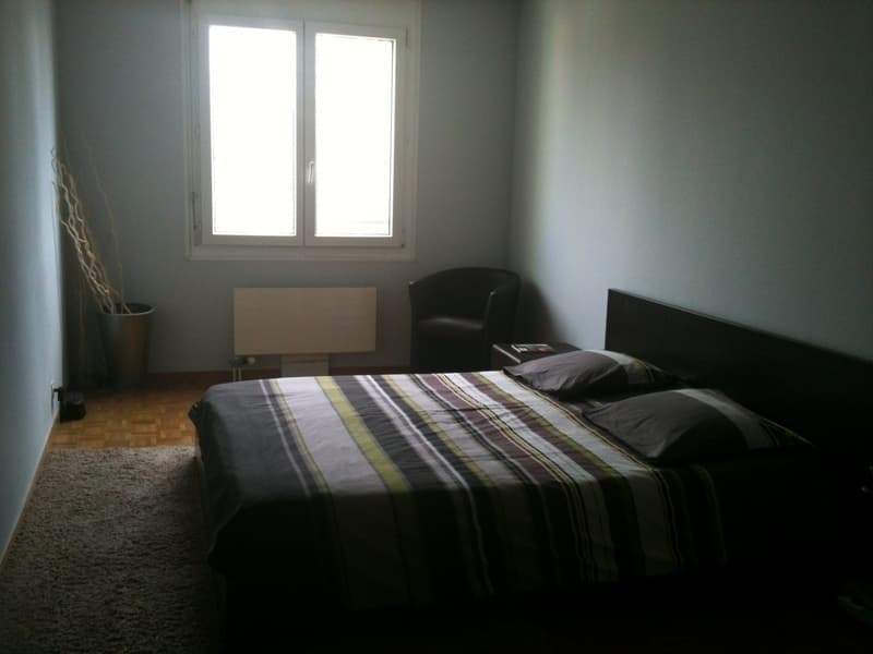APPARTEMENT 3 PIÈCES À GENÈVE - CHÂTELAINE, MEUBLÉ (7)