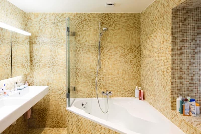 APPARTEMENT 6½ PIÈCES À YENS (VD), MEUBLÉ, DURÉE DÉTERMINÉE (7)