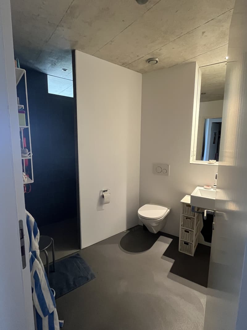 APPARTEMENT 4½ PIÈCES À BIEL/BIENNE (BE), MEUBLÉ, DURÉE DÉTERMINÉE (8)