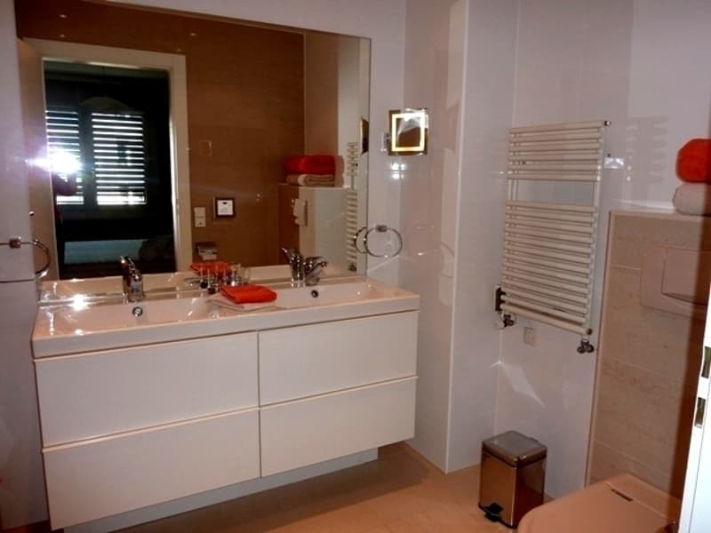 APPARTEMENT 4 PIÈCES À GENÈVE - EAUX-VIVES, MEUBLÉ (4)