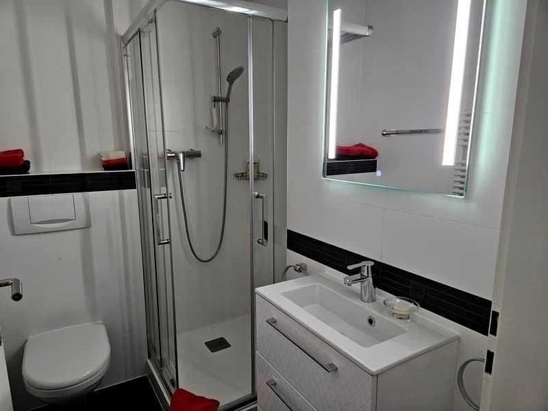 APPARTEMENT 4 PIÈCES À GENÈVE - EAUX-VIVES, MEUBLÉ (5)