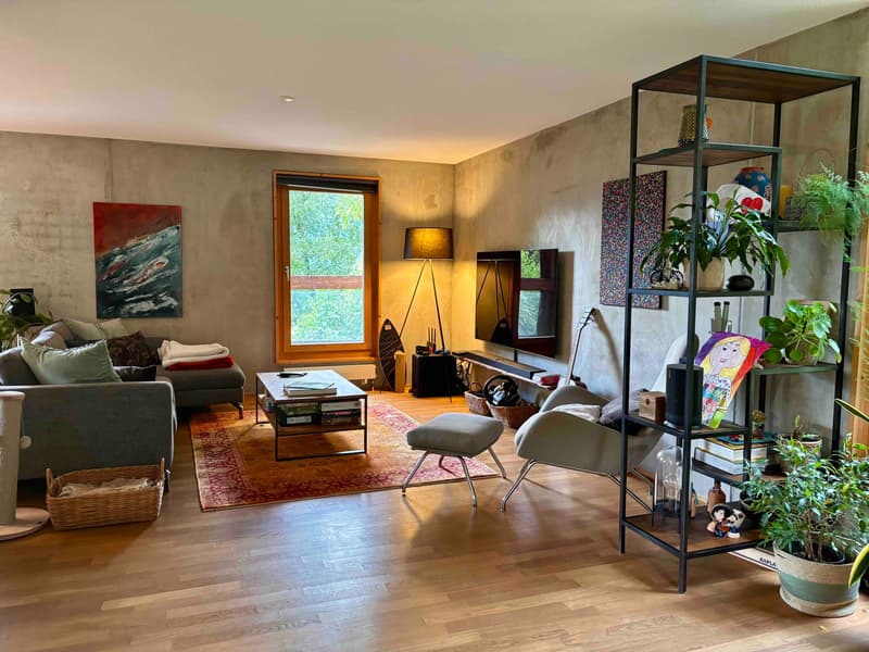 MAISON 5 PIÈCES À OLLON (VD), MEUBLÉ, DURÉE DÉTERMINÉE (2)