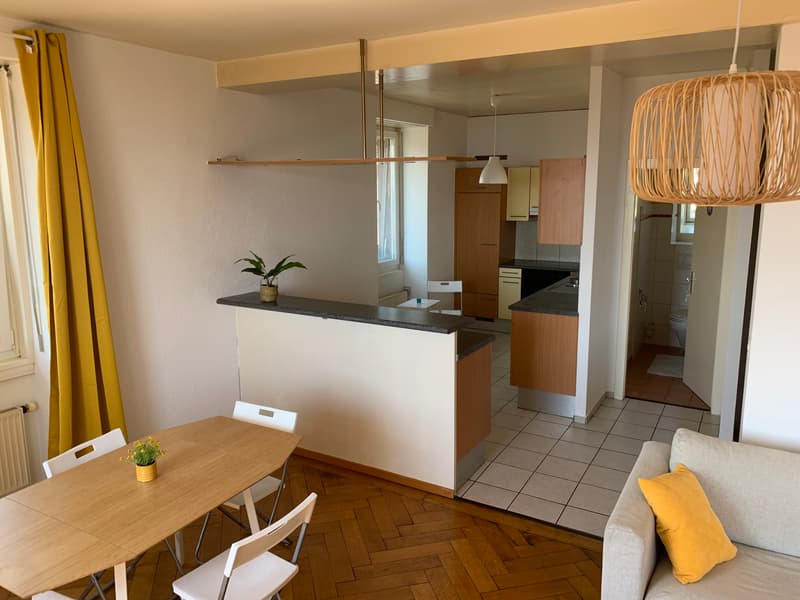 APPARTEMENT 4 PIÈCES À PRILLY (VD), MEUBLÉ, DURÉE DÉTERMINÉE (3)