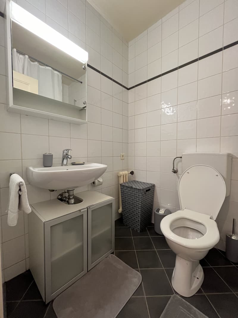 APPARTEMENT 2 PIÈCES À GENÈVE - PLAINPALAIS/ACACIAS, MEUBLÉ (6)