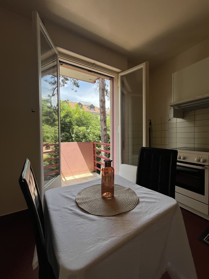 APPARTEMENT 2 PIÈCES À GENÈVE - PLAINPALAIS/ACACIAS, MEUBLÉ (2)