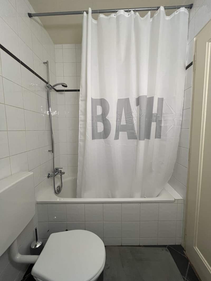 APPARTEMENT 2 PIÈCES À GENÈVE - PLAINPALAIS/ACACIAS, MEUBLÉ (7)