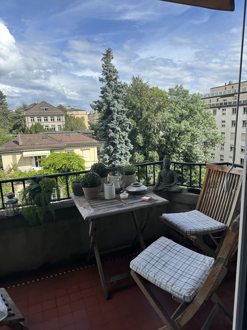 APPARTEMENT 2½ PIÈCES À LAUSANNE - CENTRE-VILLE, MEUBLÉ, DURÉE DÉTERMI (8)