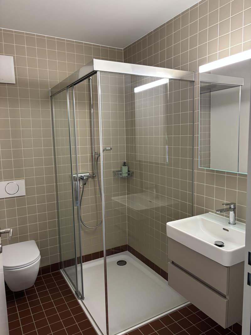 APPARTEMENT 3½ PIÈCES À BIEL/BIENNE (BE), MEUBLÉ, DURÉE DÉTERMINÉE (8)