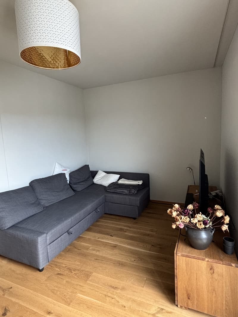 APPARTEMENT 3½ PIÈCES À BIEL/BIENNE (BE), MEUBLÉ, DURÉE DÉTERMINÉE (3)