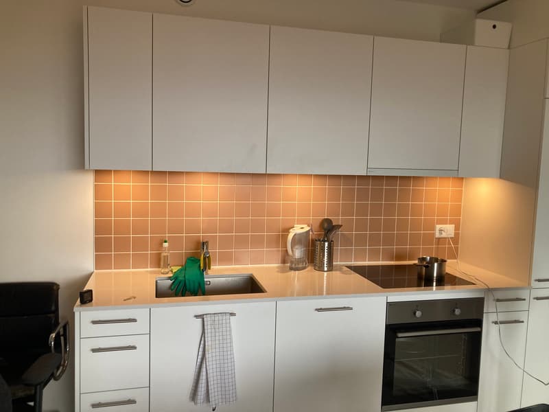 APPARTEMENT 2½ PIÈCES À CAROUGE (GE), MEUBLÉ, DURÉE DÉTERMINÉE (5)