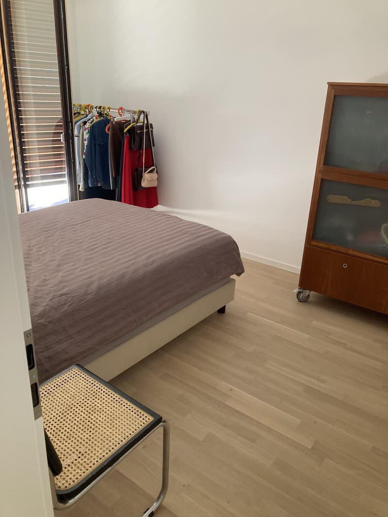 APPARTEMENT 2½ PIÈCES À CAROUGE (GE), MEUBLÉ, DURÉE DÉTERMINÉE (7)