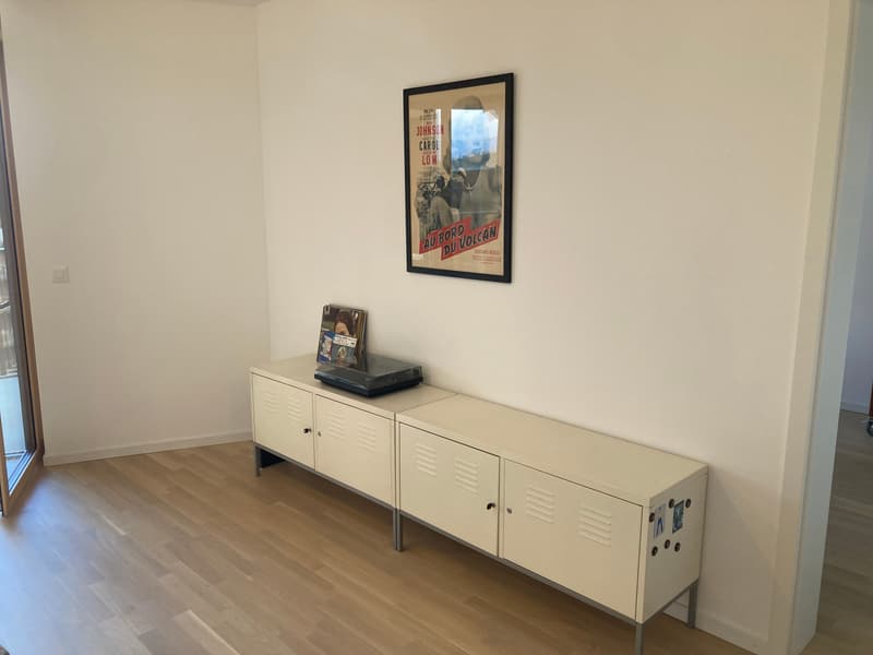 APPARTEMENT 2½ PIÈCES À CAROUGE (GE), MEUBLÉ, DURÉE DÉTERMINÉE (3)